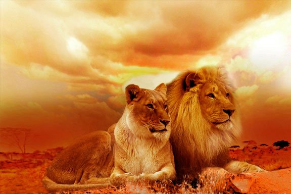 soñar con leones